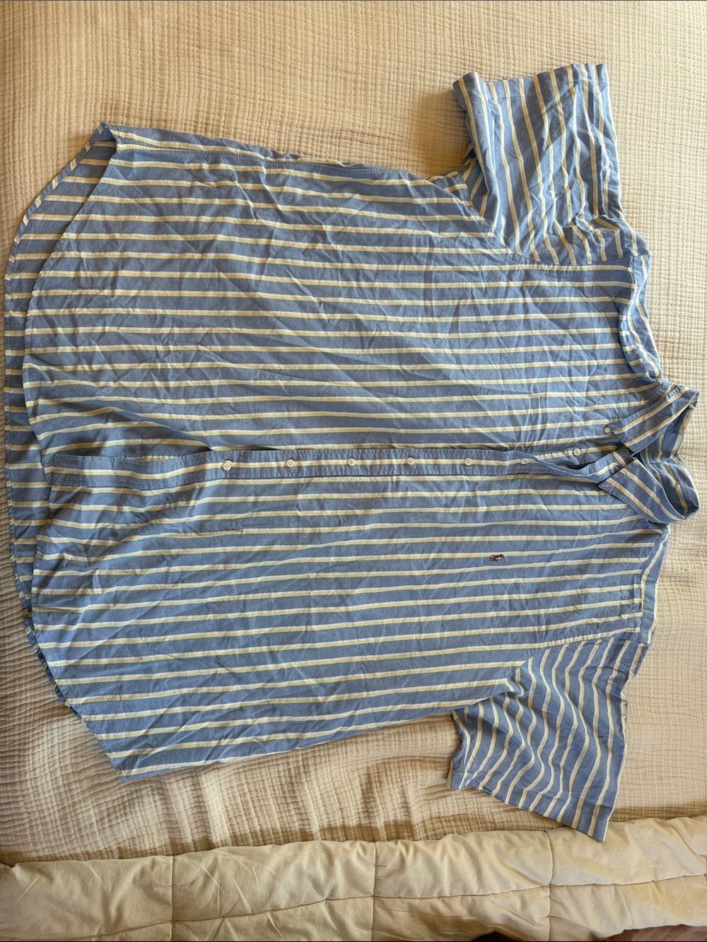 Polo by Ralph Lauren Blue and White Striped Short-Sleeve Button-Down Shirt